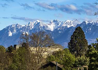 Snowy Alps Mountains and Green Trees