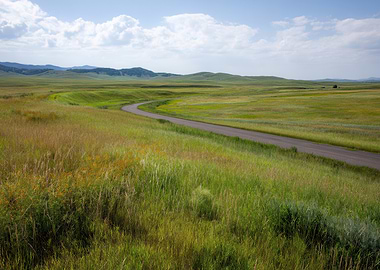 Winding Road Through Green Field