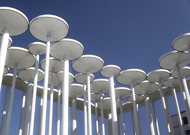 White Columns with Circular Tops