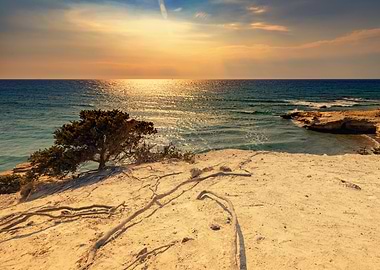 Coastal Sunset with Tree, Kos Island