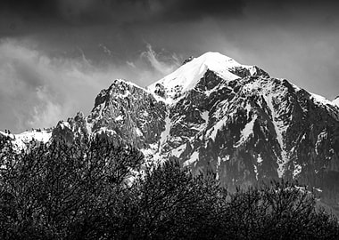 Snowy Mountain Peak of the Alps in Black and White