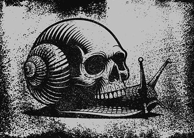 Skull Snail Illustration