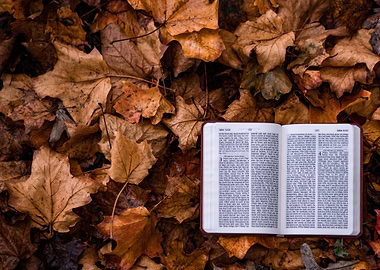 Open book on Autumn Leaves