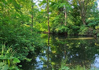 Tiergarten Green Pond