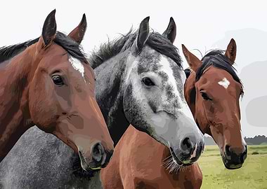 Three Horses Portrait