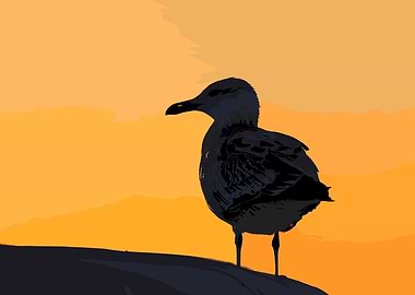 Seagull at Sunset