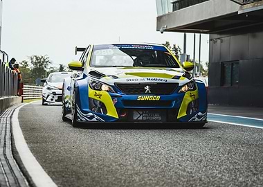 Peugeot Racing Car on Track