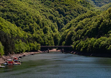 Lake and Forest Landscape with Bridge