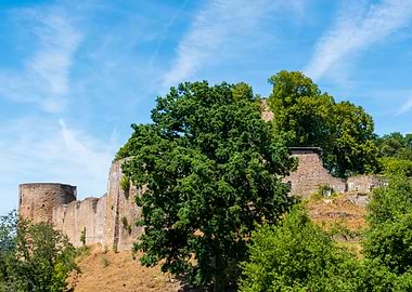 Castle Ruins with Trees and Sky