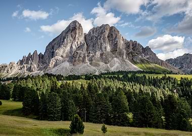 Majestic Mountain Landscape with Forest