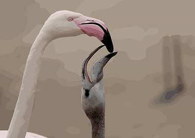 Flamingo Feeding Young
