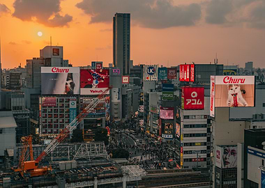 Shibuya Crossing Sunset in Tokyo