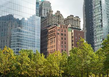 New York Cityscape with Trees and Skyscrapers