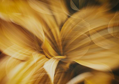 Abstract Golden Floral Motion Blur