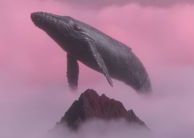 Magical Whale