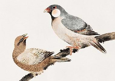 Two Birds on a Branch