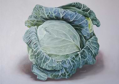 Cabbage Still Life Painting