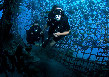 Scuba Divers Exploring Underwater Structure Navy Eilat Israel