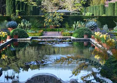 Formal Garden with Pond Reflection