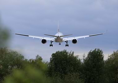 Airplane landing over trees