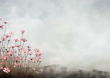 Pink Flowers on Cloudy Day
