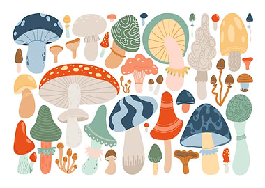 Colorful Mushroom Collection
