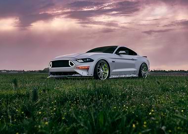 White Ford Mustang in a field