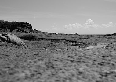 Rocky Beach Landscape in Black and White