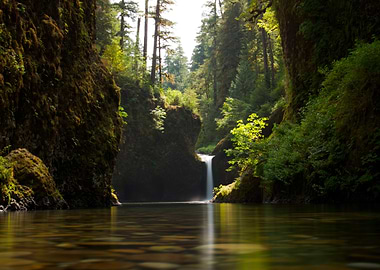 Waterfall in a Lush Forest