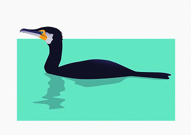 Great Cormorant in Water