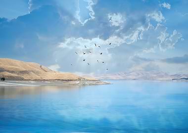 Lake with Birds and Cloudy Sky