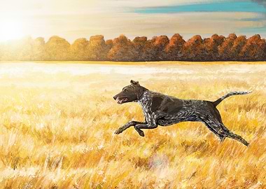 Dog Running in Golden Field