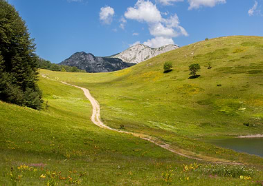 Green Meadow Landscape with Mountain Backdrop