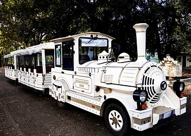 White Tourist Train in Park Setting
