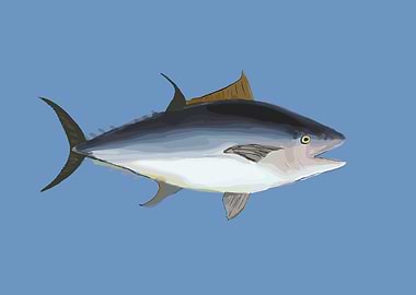 Tuna Fish Illustration
