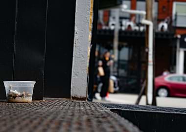 Discarded Cigarette Butts