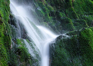 Mossy Waterfall