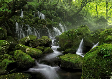 Lush Mossy Forest Waterfall Scene