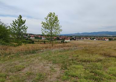Rural landscape with village backdrop