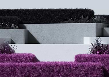Geometric podiums with purple and black grass