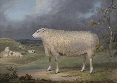 Sheep in Landscape Painting