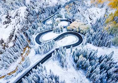 Winter Road Through Snowy Forest
