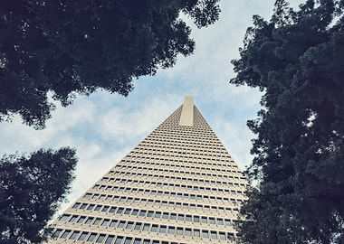Transamerica Pyramid framed by trees