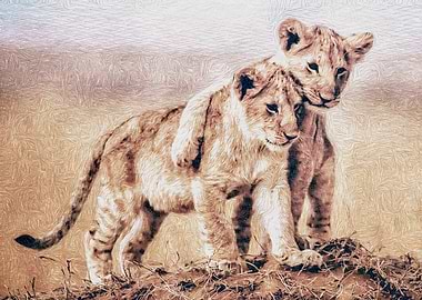 Two Lion Cubs Together
