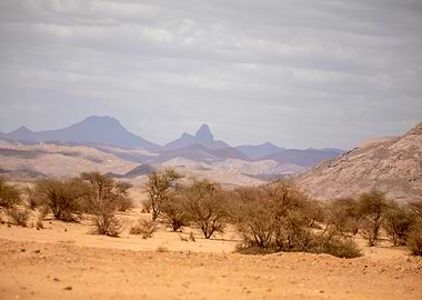 Desert Landscape with Distant Mountains