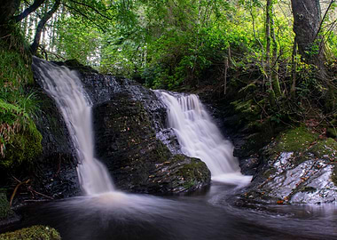 Waterfall in Lush Green Forest