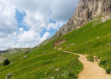 Mountain Trail Landscape