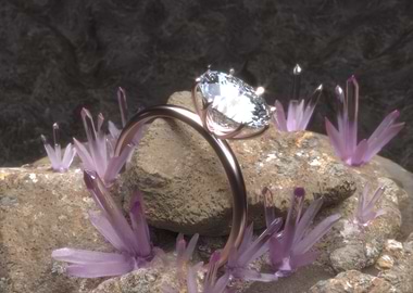 Diamond ring with crystals on rock