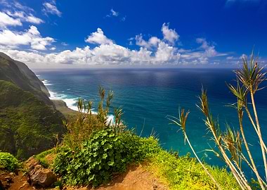 Coastal Cliff View with Blue Sky, Madeira