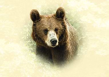 Brown Bear Portrait in Natural Setting